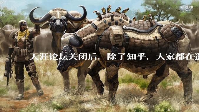 天涯论坛关闭后，除了知乎，大家都在逛什么？