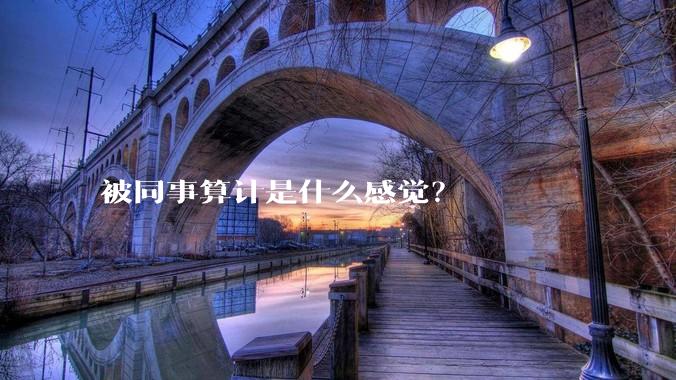 被同事算计是什么感觉？